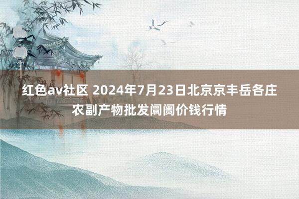 红色av社区 2024年7月23日北京京丰岳各庄农副产物批发阛阓价钱行情