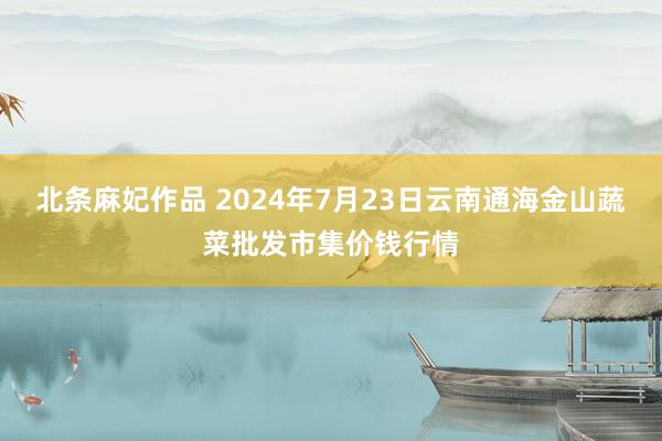 北条麻妃作品 2024年7月23日云南通海金山蔬菜批发市集价钱行情