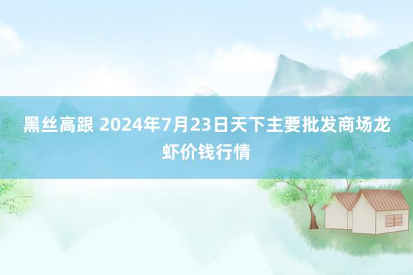 黑丝高跟 2024年7月23日天下主要批发商场龙虾价钱行情