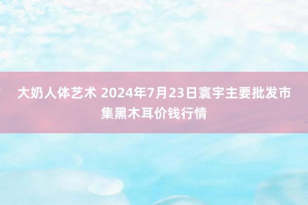 大奶人体艺术 2024年7月23日寰宇主要批发市集黑木耳价钱行情