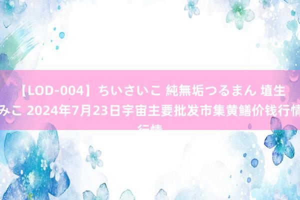 【LOD-004】ちいさいこ 純無垢つるまん 埴生みこ 2024年7月23日宇宙主要批发市集黄鳝价钱行情