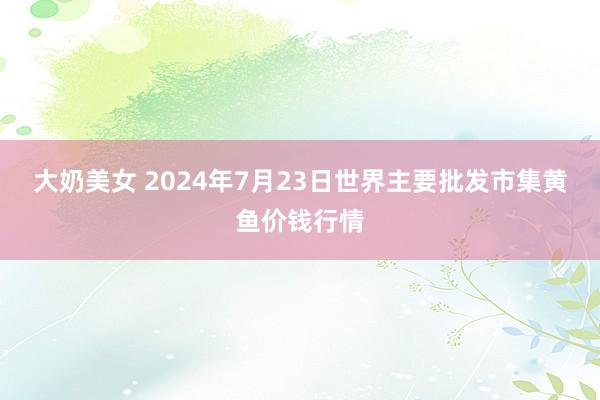 大奶美女 2024年7月23日世界主要批发市集黄鱼价钱行情