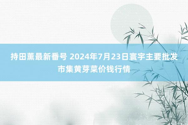 持田薫最新番号 2024年7月23日寰宇主要批发市集黄芽菜价钱行情