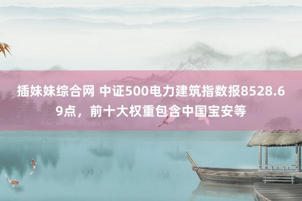 插妹妹综合网 中证500电力建筑指数报8528.69点，前十大权重包含中国宝安等