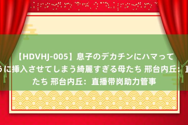 【HDVHJ-005】息子のデカチンにハマってしまい毎日のように挿入させてしまう綺麗すぎる母たち 邢台内丘：直播带岗助力管事