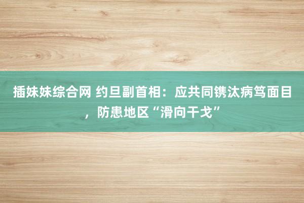 插妹妹综合网 约旦副首相：应共同镌汰病笃面目，防患地区“滑向干戈”