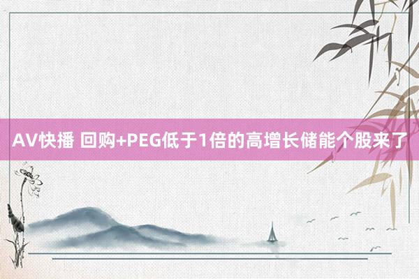 AV快播 回购+PEG低于1倍的高增长储能个股来了