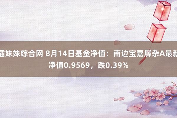 插妹妹综合网 8月14日基金净值：南边宝嘉羼杂A最新净值0.9569，跌0.39%