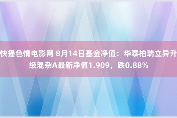 快播色情电影网 8月14日基金净值：华泰柏瑞立异升级混杂A最新净值1.909，跌0.88%