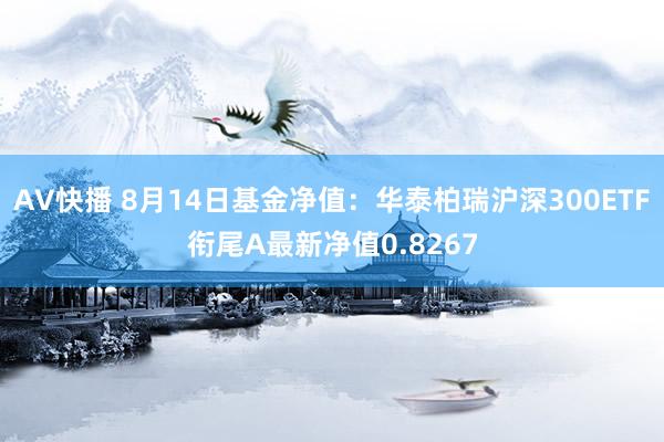 AV快播 8月14日基金净值：华泰柏瑞沪深300ETF衔尾A最新净值0.8267