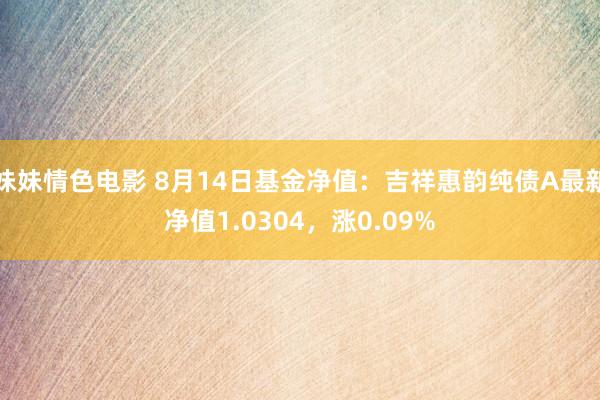 妹妹情色电影 8月14日基金净值：吉祥惠韵纯债A最新净值1.0304，涨0.09%