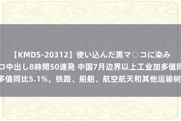 【KMDS-20312】使い込んだ黒マ○コに染み渡る息子の精液ドロドロ中出し8時間50連発 中国7月边界以上工业加多值同比5.1%，铁路、船舶、航空航天和其他运输树立制造业增长12.7%