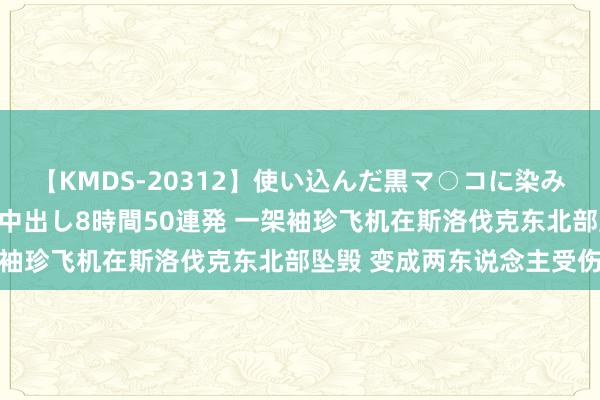 【KMDS-20312】使い込んだ黒マ○コに染み渡る息子の精液ドロドロ中出し8時間50連発 一架袖珍飞机在斯洛伐克东北部坠毁 变成两东说念主受伤