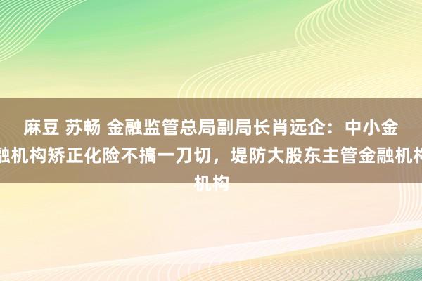 麻豆 苏畅 金融监管总局副局长肖远企：中小金融机构矫正化险不搞一刀切，堤防大股东主管金融机构