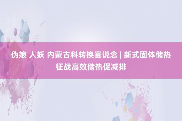 伪娘 人妖 内蒙古科转换赛说念 | 新式固体储热征战高效储热促减排