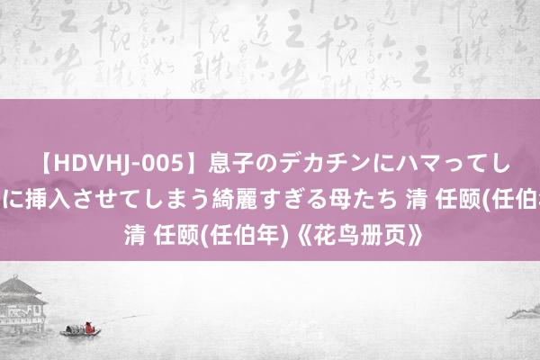 【HDVHJ-005】息子のデカチンにハマってしまい毎日のように挿入させてしまう綺麗すぎる母たち 清 任颐(任伯年)《花鸟册页》