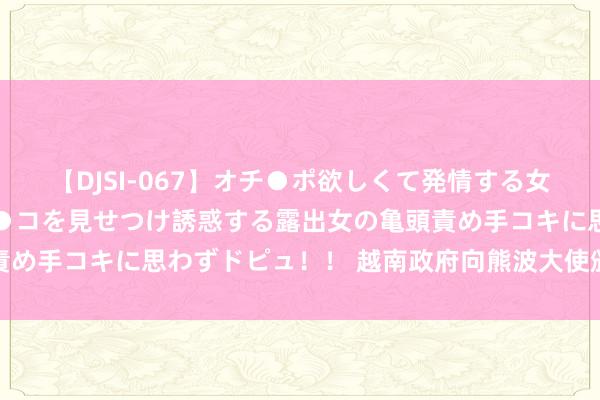 【DJSI-067】オチ●ポ欲しくて発情する女たち ところ構わずオマ●コを見せつけ誘惑する露出女の亀頭責め手コキに思わずドピュ！！ 越南政府向熊波大使颁授友谊勋章