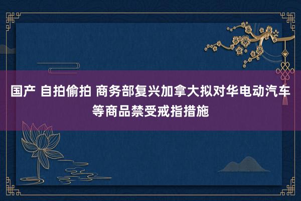 国产 自拍偷拍 商务部复兴加拿大拟对华电动汽车等商品禁受戒指措施