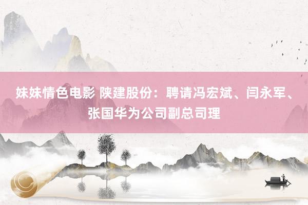 妹妹情色电影 陕建股份：聘请冯宏斌、闫永军、张国华为公司副总司理