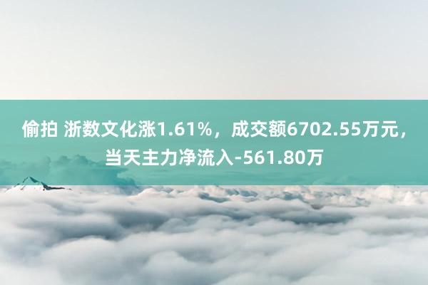 偷拍 浙数文化涨1.61%，成交额6702.55万元，当天主力净流入-561.80万